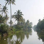 image05