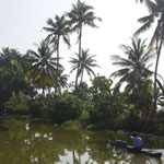 image13