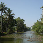 image15