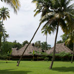 image06