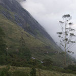 image05