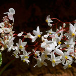 image06