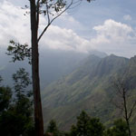 image07